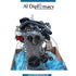 ENGINE, COMPLETE 282914