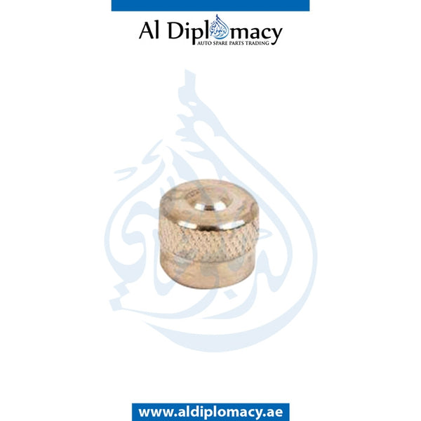 WHEEL VALVE CAP for BMW 1 SERIES 2013-2015 models, Part Number 36121120779