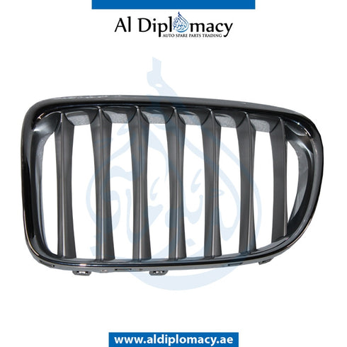 Left SHOW GRILLE for BMW X1 SERIES 2012-2015 models, Part Number 51112993307