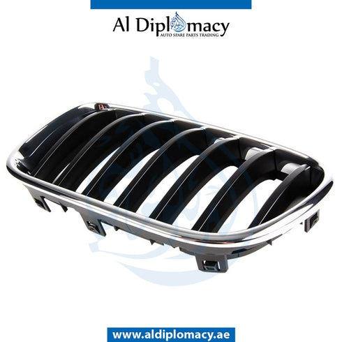 Left SHOW GRILLE for BMW X3 SERIES 2010-2017 models