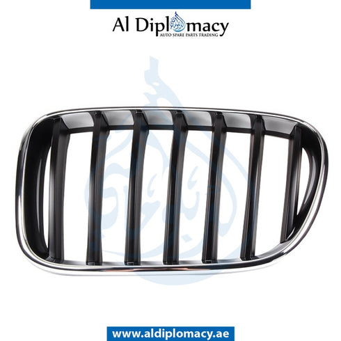 Left SHOW GRILLE for BMW X3 SERIES 2010-2017 models, Part Number 51117210725