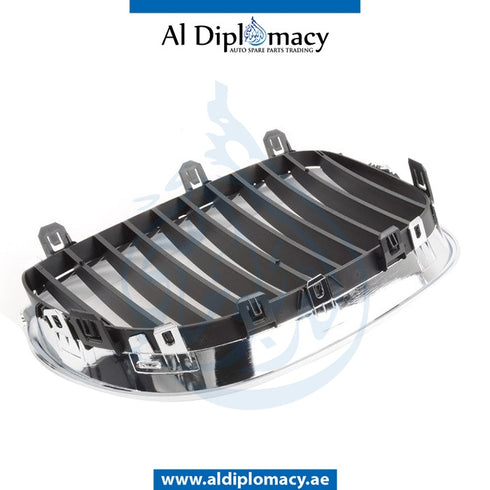 Left SHOW GRILLE for BMW 5 SERIES models