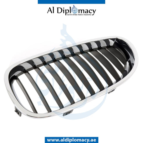 Left SHOW GRILLE for BMW 5 SERIES models, Part Number 51137027061