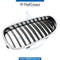 Left SHOW GRILLE for BMW 5 SERIES models, Part Number 51137027061
