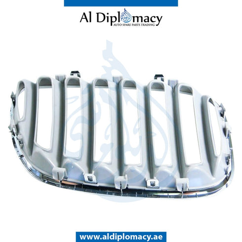 Left SHOW GRILLE for BMW X5 SERIES 1999-2006 models