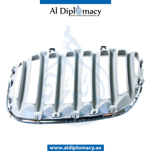 Right SHOW GRILLE for BMW X5 SERIES 1999-2006 models