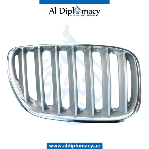 Right SHOW GRILLE for BMW X5 SERIES 1999-2006 models, Part Number 51137124816