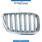 Right SHOW GRILLE for BMW X5 SERIES 1999-2006 models, Part Number 51137124816