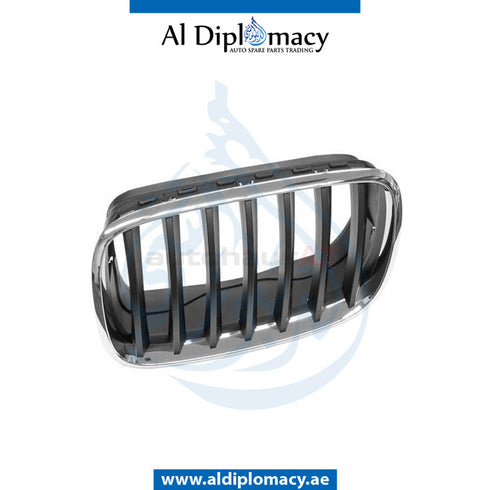 Left SHOW GRILLE for BMW X5 SERIES 2006-2013 models