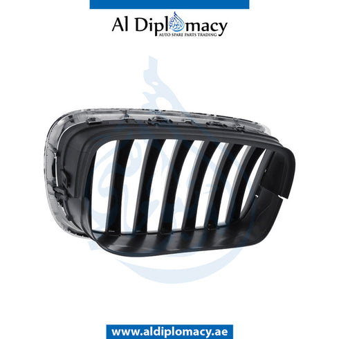 Left SHOW GRILLE for BMW X5 SERIES 2006-2013 models