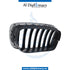 Left SHOW GRILLE for BMW X5 SERIES 2006-2013 models
