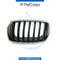 Left SHOW GRILLE for BMW X5 SERIES 2006-2013 models, Part Number 51137157687