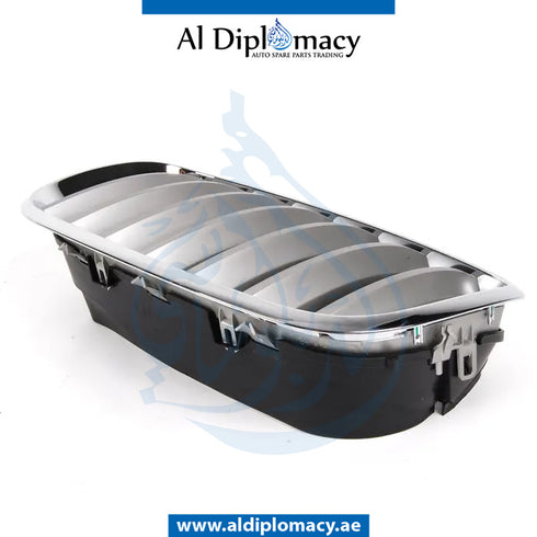 Left SHOW GRILLE for BMW X5 SERIES 2006-2013 models