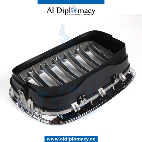 Left SHOW GRILLE for BMW X5 SERIES 2006-2013 models