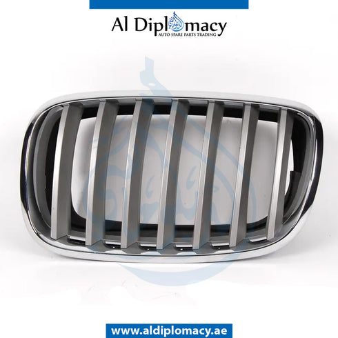 Left SHOW GRILLE for BMW X5 SERIES 2006-2013 models, Part Number 51137185223