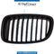 Left SHOW GRILLE for BMW 5 SERIES 2009-2013 models, Part Number 51137203205