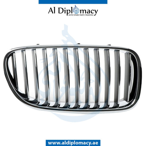 Genuine BMW 5 Series F10 Show Grille Right Side, Part Number 51137203650 / 51137200728