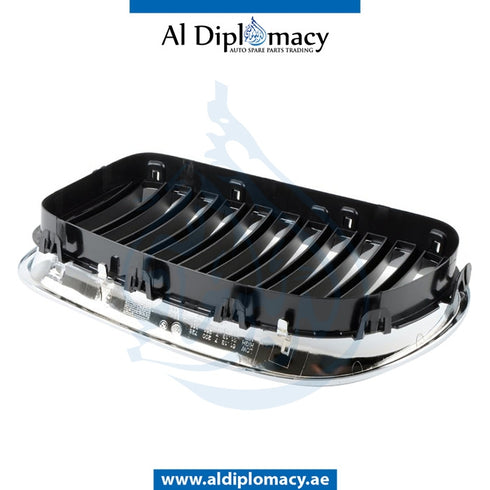 Right SHOW GRILLE for BMW 5 SERIES 2010-2016 models