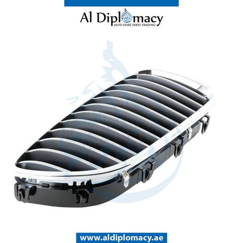 Right SHOW GRILLE for BMW 5 SERIES 2010-2016 models