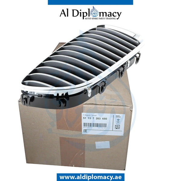 Genuine BMW 5 Series F10 Show Grille Right Side, Part Number 51137203650 / 51137200728