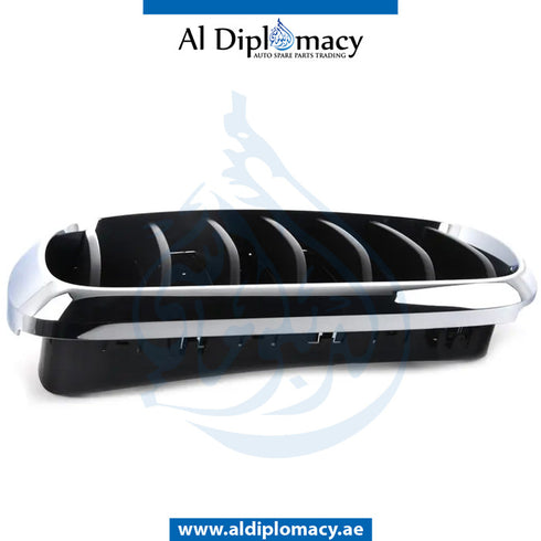 Left SHOW GRILLE for BMW X5 SERIES 2013-2018 models