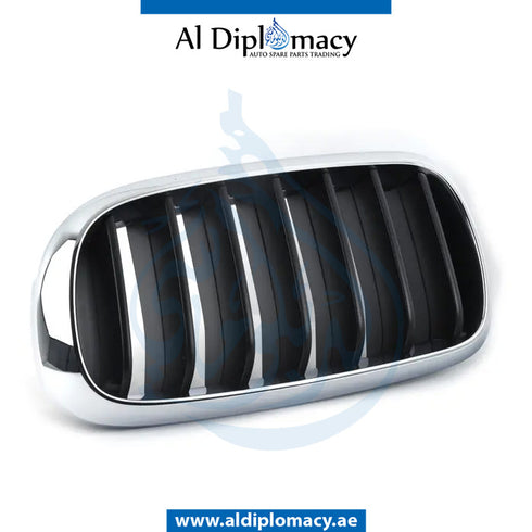 Left SHOW GRILLE for BMW X5 SERIES 2013-2018 models, Part Number 51137294485