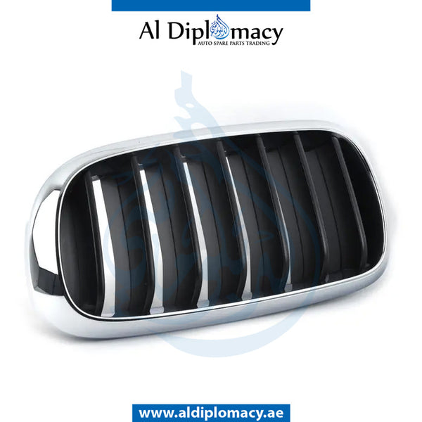 Left SHOW GRILLE for BMW X5 SERIES 2013-2018 models, Part Number 51137294485