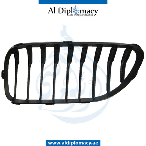 Right SHOW GRILLE for BMW 6 SERIES 2010-2015 models
