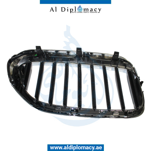 Left SHOW GRILLE for BMW 5 SERIES 2016-2020 models
