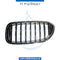 Left SHOW GRILLE for BMW 5 SERIES 2016-2020 models, Part Number 51137383519