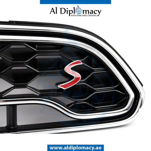 SHOW GRILLE for Mini Mini 2016-2020 models