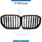 SHOW GRILLE for BMW X5 SERIES 2018-2023 models, Part Number 51137454887