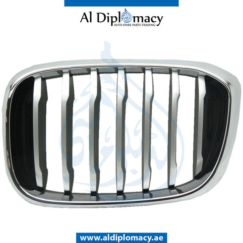 Left SHOW GRILLE for BMW X3 SERIES 2017-2021 models, Part Number 51137478669