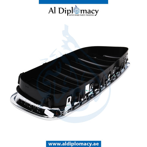 Left SHOW GRILLE for BMW 5 SERIES 2010-2016 models