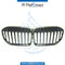 SHOW GRILLE for BMW 7 SERIES 2019-2022 models, Part Number 51138494817