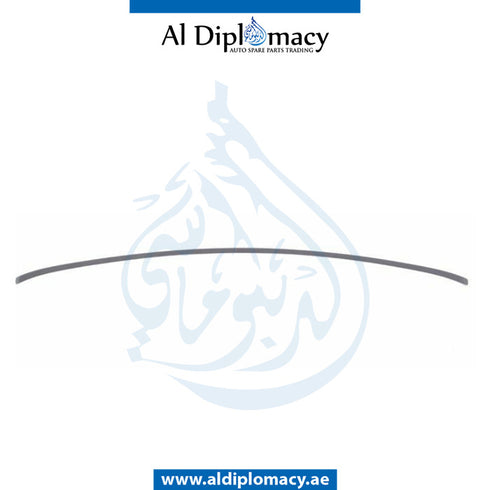 HOOD MOLDING for Mini Mini 2011-2016 models