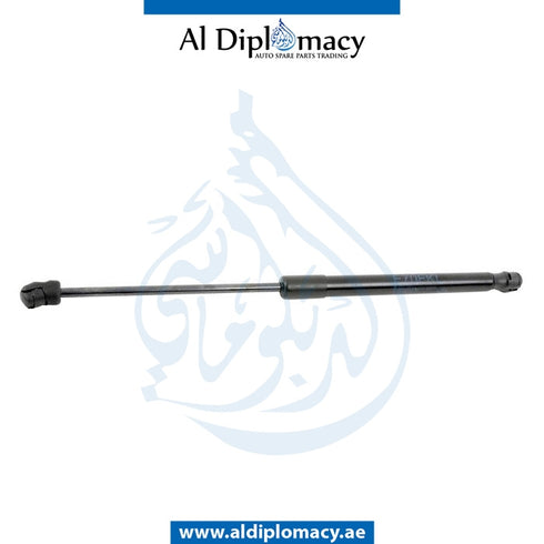 Left Right HOOD GAS PRESSURIZED Spring, OR for BMW X5 SERIES 2006-2013 models