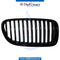 Right SHOW GRILLE for BMW 5 SERIES 2010-2016 models, Part Number 51712165528