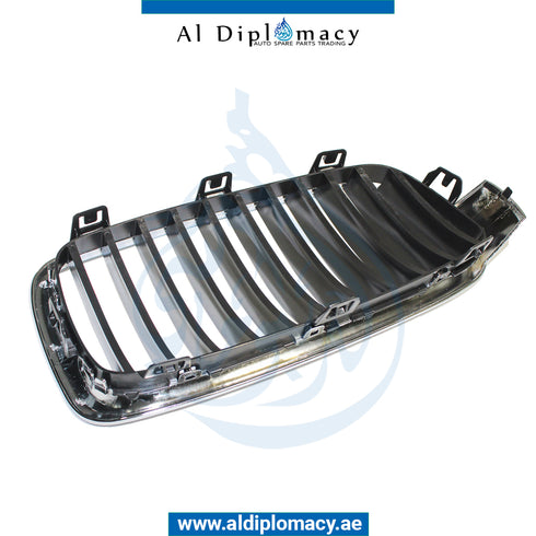 Left SHOW GRILLE for BMW 3 Series F30 (2011-2015) models