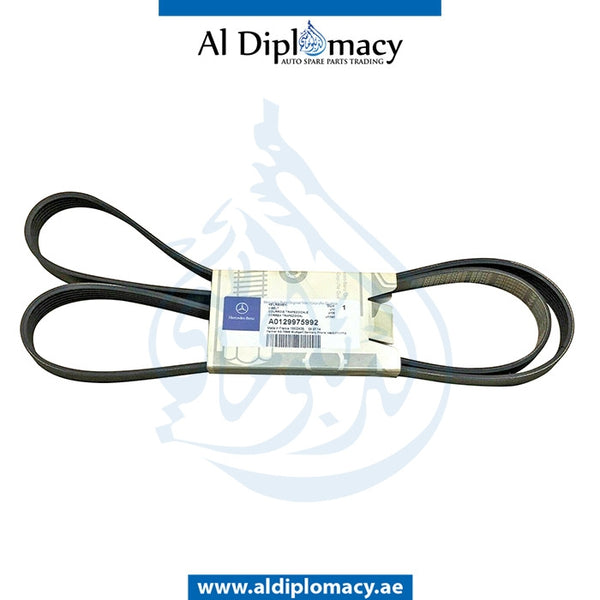 RIBBED V-belt 6PK1775 for Mercedes-Benz C Class W170 (1996-2004) models, Part Number A0129975992