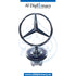 HOOD MERCEDES STAR for Mercedes-Benz S Class W140 (1992-1999) models