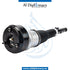 Rear Left AIR SUSPENSION STRUT for Mercedes-Benz S Class W216 (2006-2014) models, Part Number A2213205513