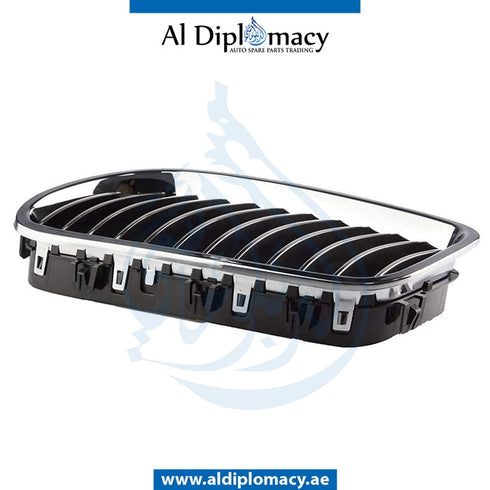 Left SHOW GRILLE for BMW 5 Series F10 (2010-2016) models