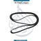 Bmw 1 Series E81 Ribbed V-Belt 0 8.19.246 - OEM 11287628650