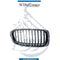 Bmw 3 Series Show Grille, Right Side- OEM Part Number 51137263482 China