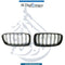 Bmw X5 Series F15 Show Grille, Black Double Line Style, Set - China