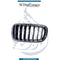 BMW X5 Series F15 Show Grille, Left Side - China OEM Part Number 51137316061