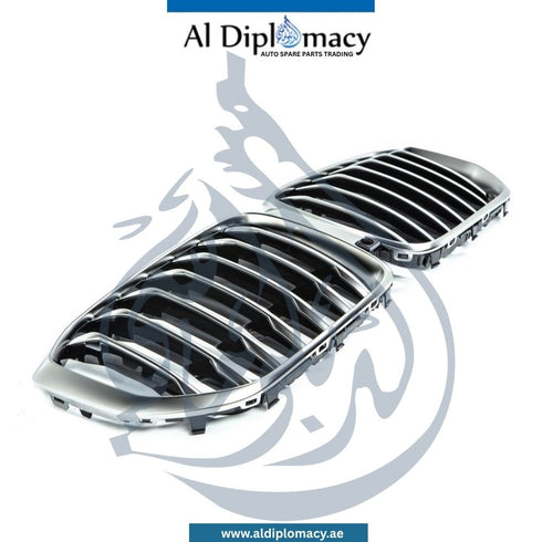 BMW X5 Series G05 Show Grille - OEM Part Number 51137454888 BMW Genuine
