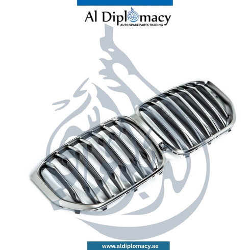 BMW X5 Series G05 Show Grille - OEM Part Number 51137454888 BMW Genuine