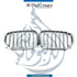 BMW X5 Series G05 Show Grille - OEM Part Number 51137454888 BMW Genuine